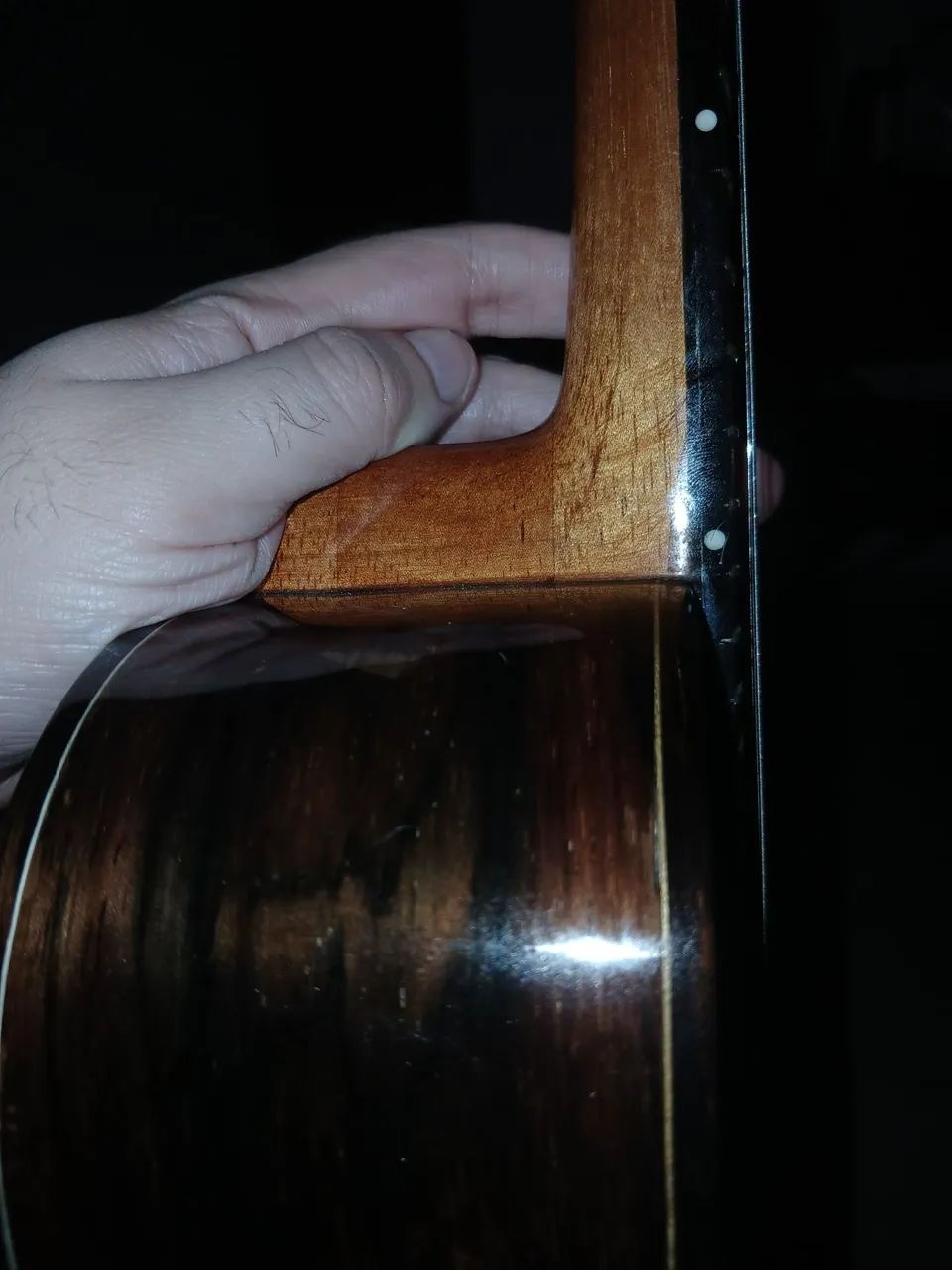 Cavaco homero nardi  - Foto 2