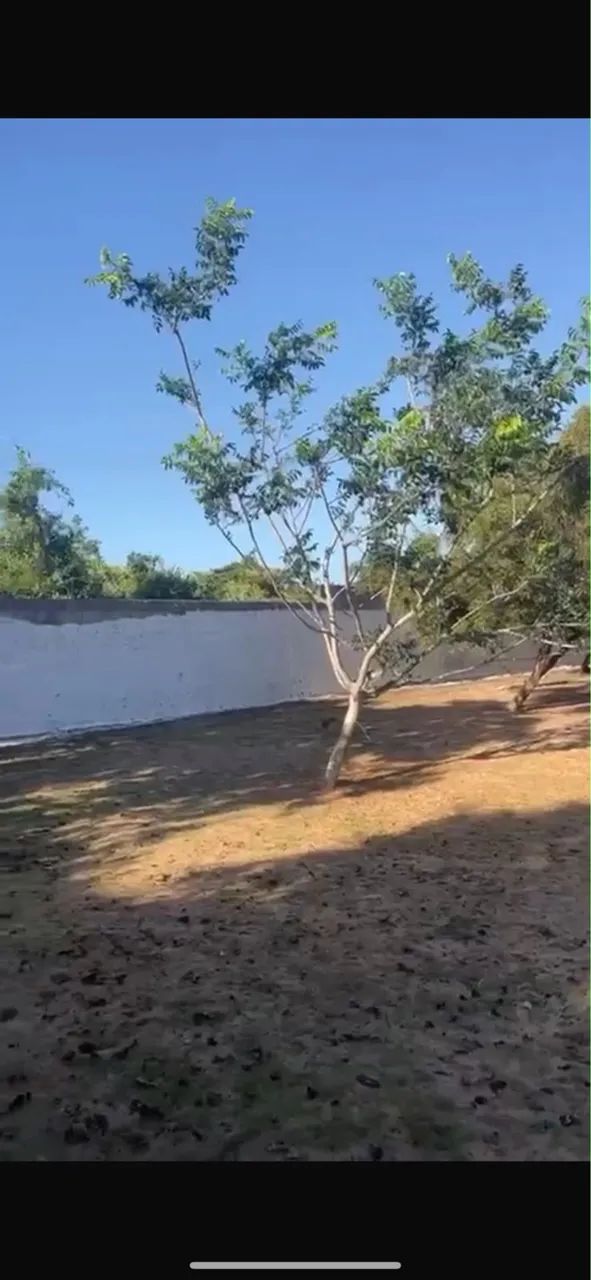 Chácara em Macaíba  - Foto 3