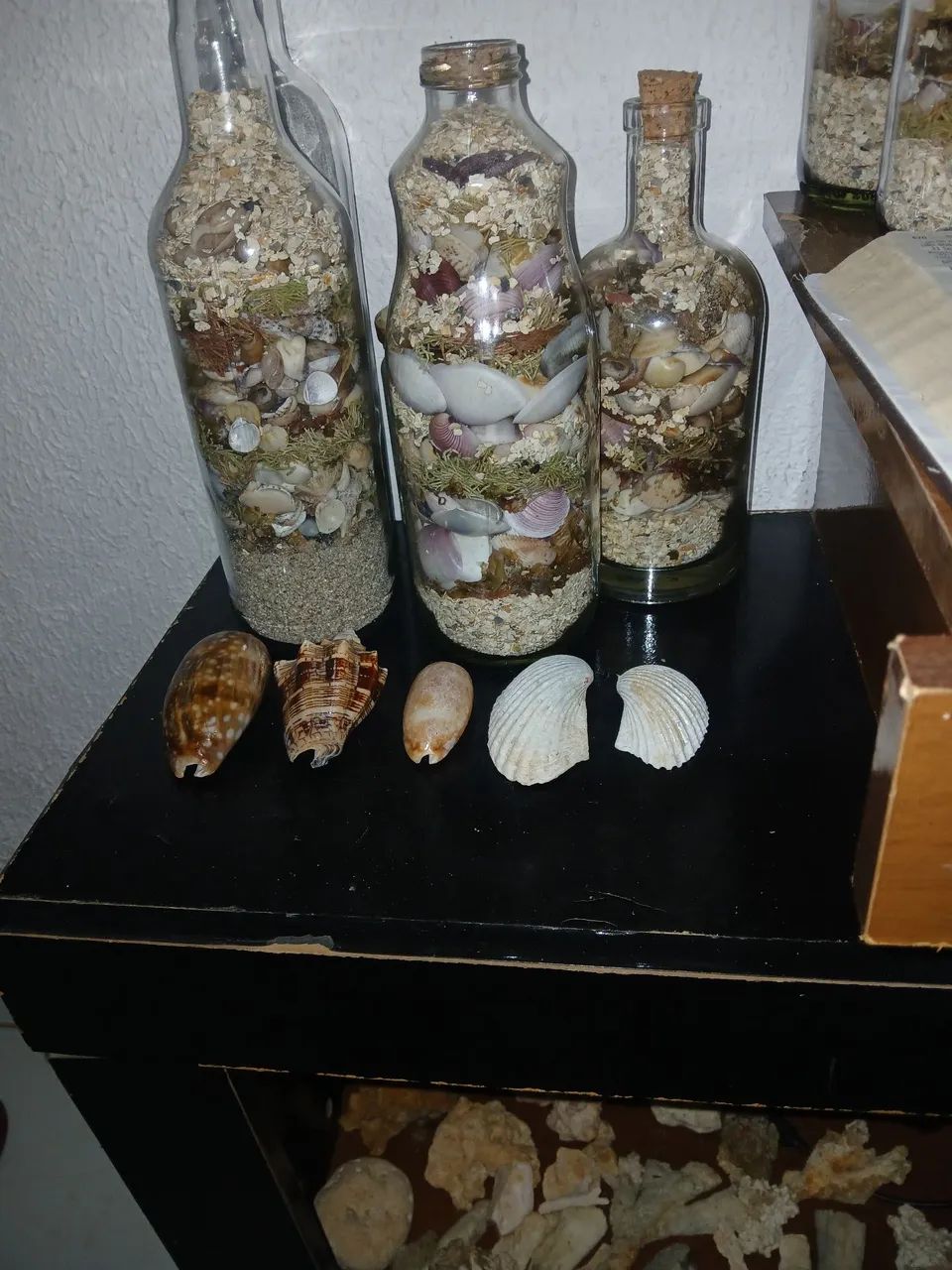 Artesanato com conchas do mar 