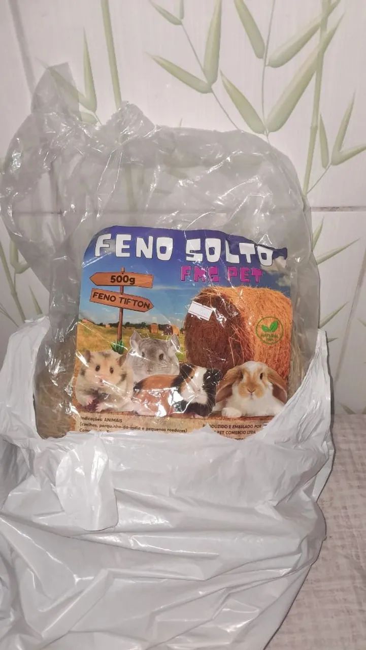 vende-se porquinho da Índia  - Foto 5