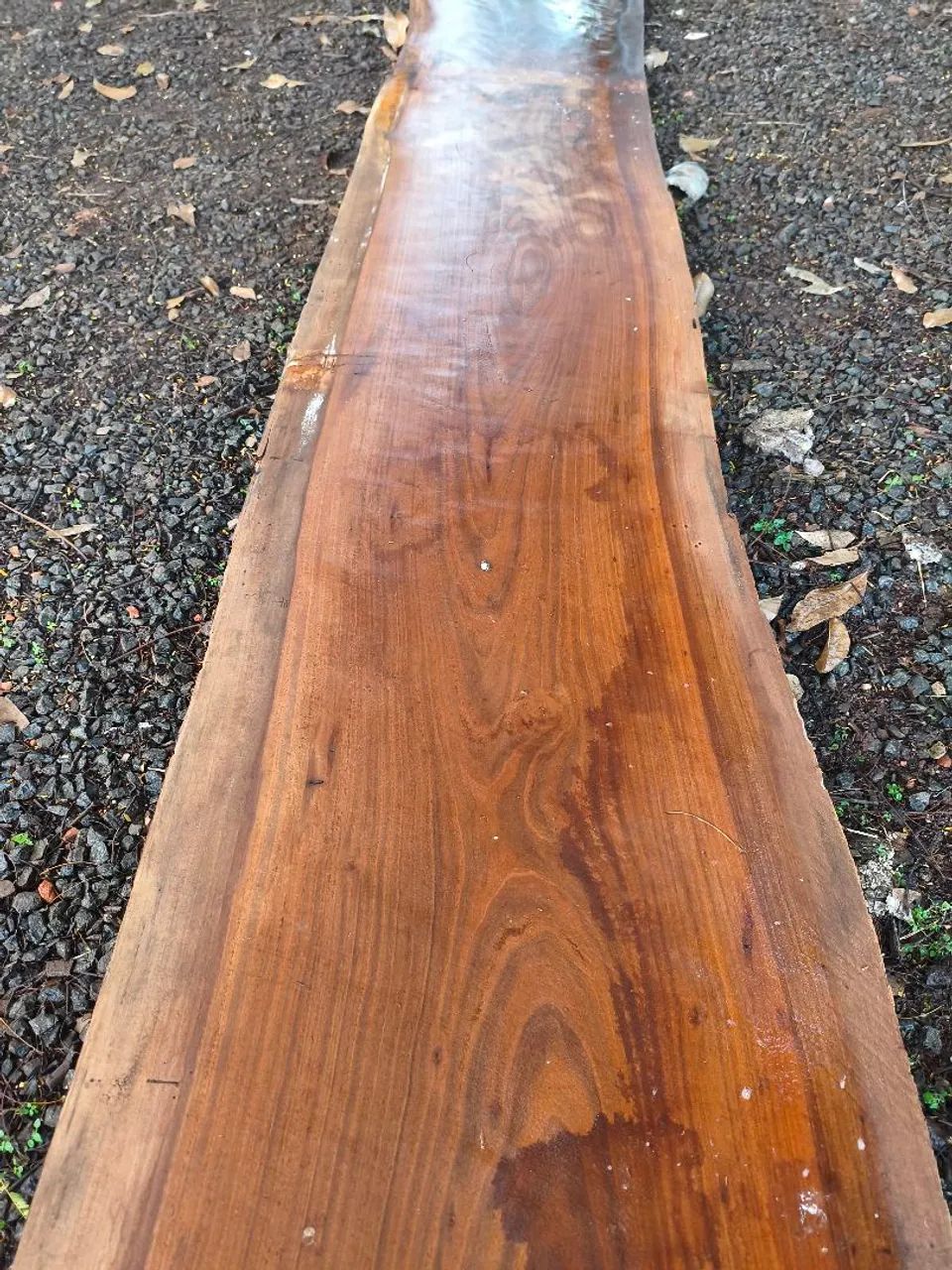 Plancha antiga de ipê 