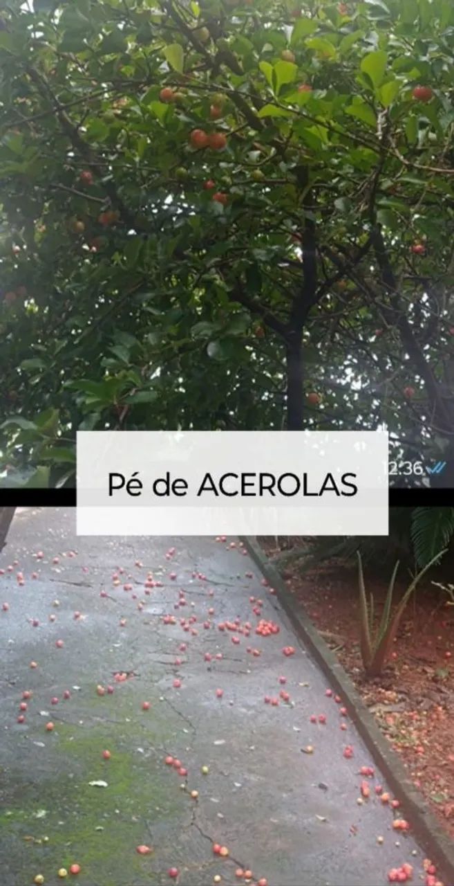 Vendo ou troco com volta  - Foto 4