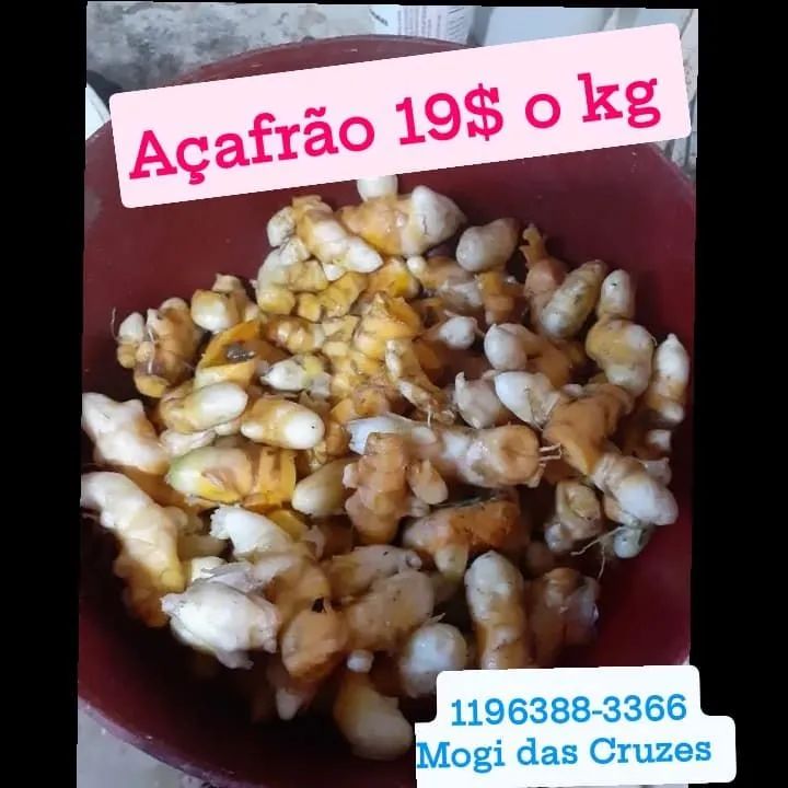 Açafrão da terra 