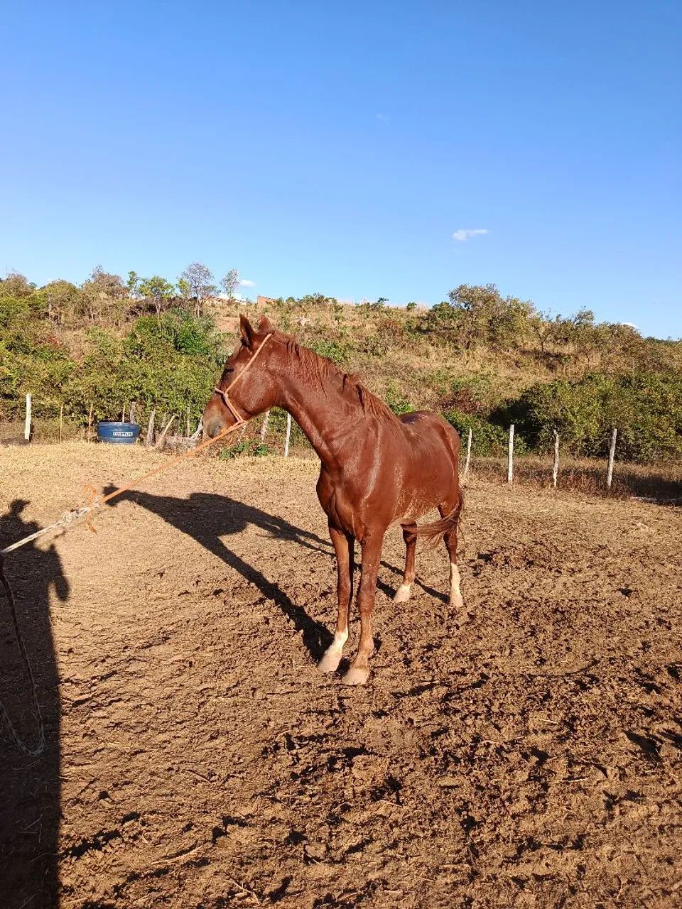 vendo ou troco  - Foto 6