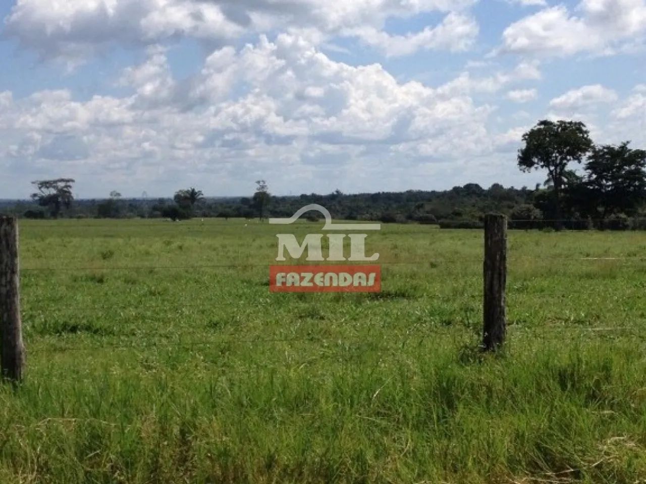 Fazenda em Imperatriz-MA. (2.252 Hectares). Dupla Aptidão - Foto 2