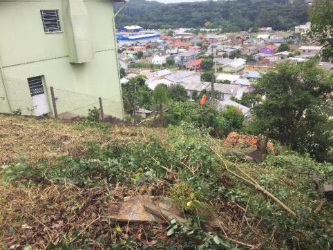 Oportunidade Única! Lindo Terreno de 360m² com localização privilegiada em Carlos Barbosa - Foto 4