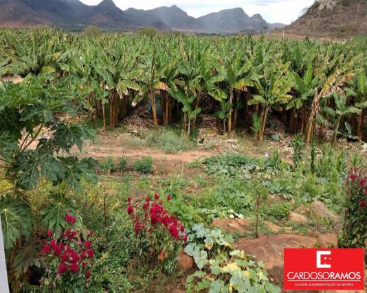 Sítio à venda em Ruy barbosa, Itaberaba cod:FA00004 - Foto 10