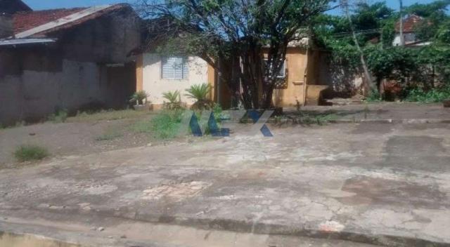 Casa à venda com 3 dormitórios em Centro, Bauru cod:5450 - Foto 10