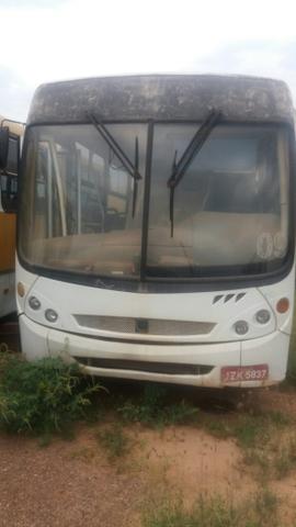 Vários ônibus urbanos e rodoviário