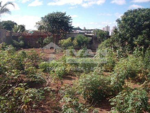 Terreno para alugar com 0 dormitórios em Presidente roosevelt, Uberlândia cod:303091 - Foto 2
