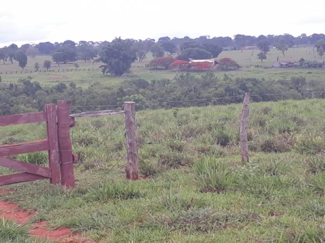 FAZENDA A VENDA EM NIOAQUE - MS (Pecuária) - Foto 2
