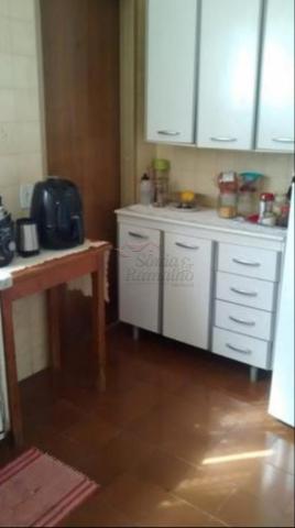 Apartamento para alugar com 2 dormitórios em Dutra, Ribeirao preto cod:L12666 - Foto 4
