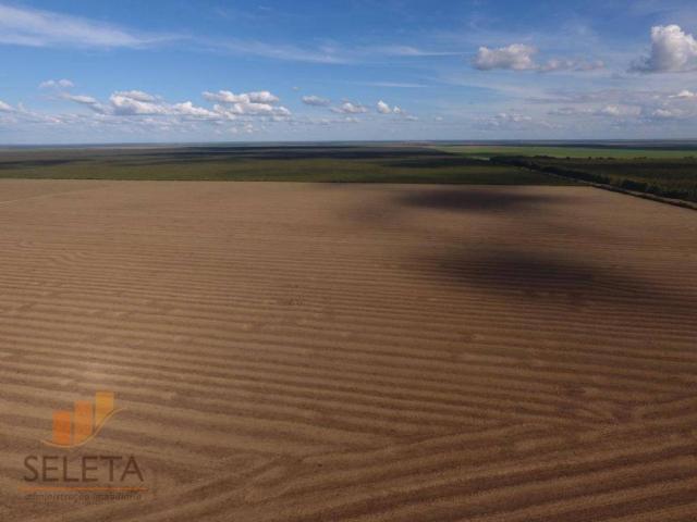Fazenda à venda, 12650000 m² por r$ 16.000.000 - vila rica - barreiras/ba - Foto 11