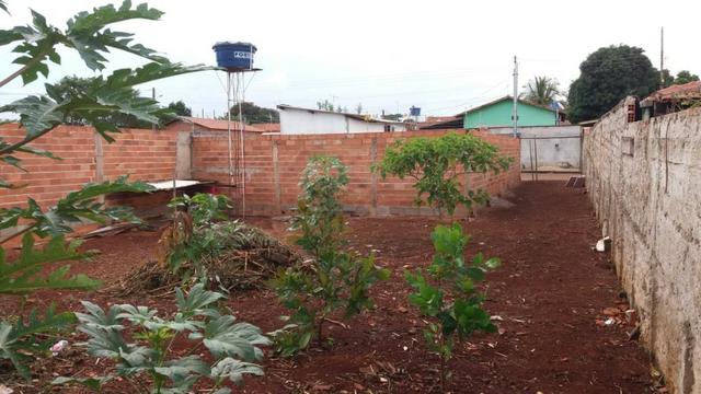 Lote Em Goianira ( URGENTE) - Foto 3