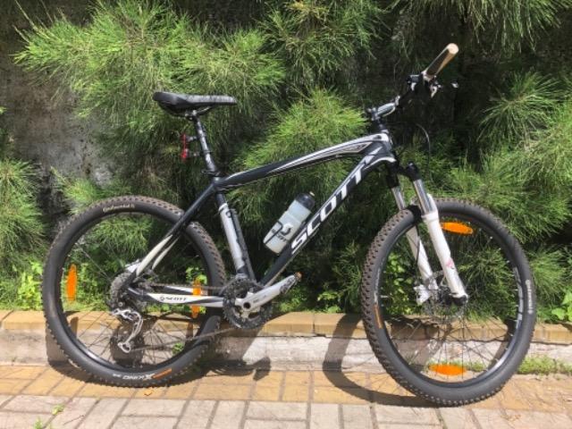 Scott Scale 60 - Quadro L (19)