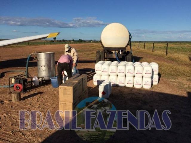 Fazenda em Barreiras. Oeste da Bahia - Foto 6