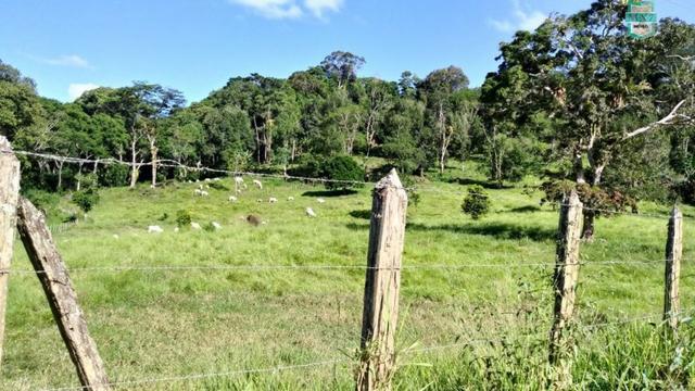 Ubaitaba. Fazenda de 78 Hectares, toda arrumada com infraestrutura e produção. - Foto 10