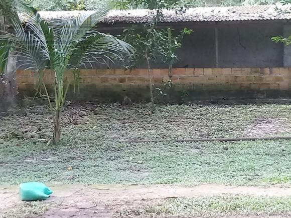 197 - Belíssimo sitio Situado No Jardim Neópolis Venda R$200.000,00 - Foto 15
