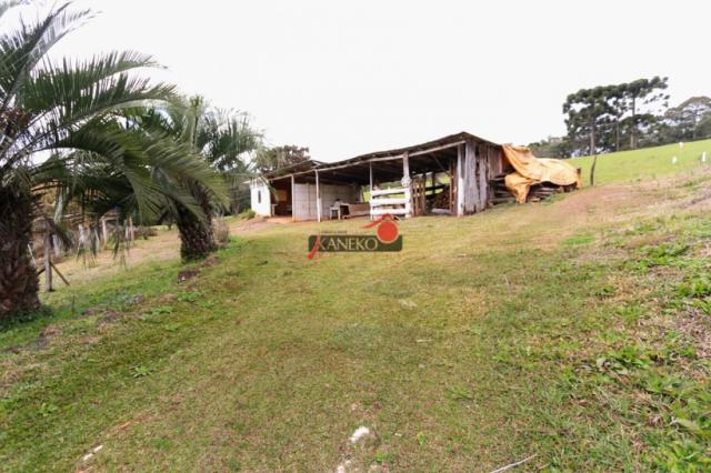 8287 | chácara à venda em guarapuava - Foto 2