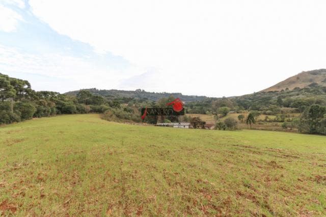 8287 | chácara à venda em guarapuava - Foto 9
