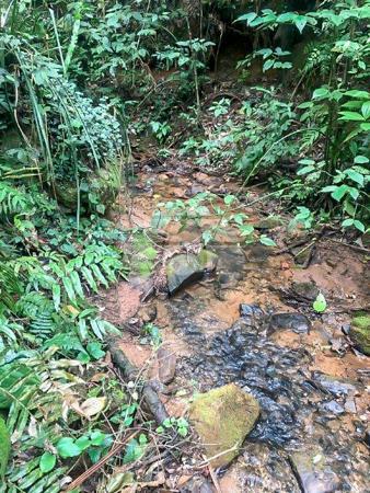 Sítio à venda em Centro, Rio branco do sul cod:155475 - Foto 19