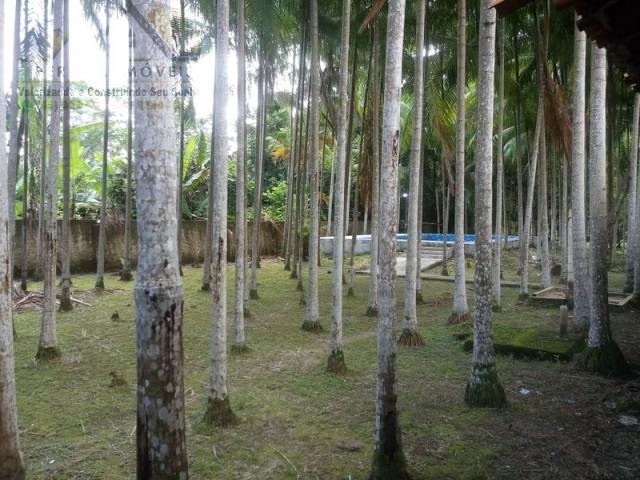 197 - Belíssimo sitio Situado No Jardim Neópolis Venda R$200.000,00 - Foto 14