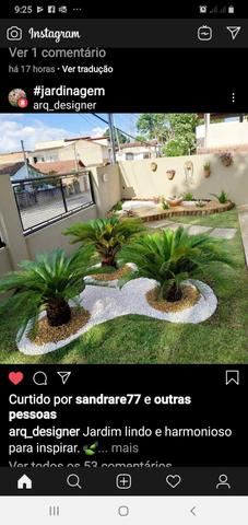 Estação verde: Plantas&Adubos - Foto 2