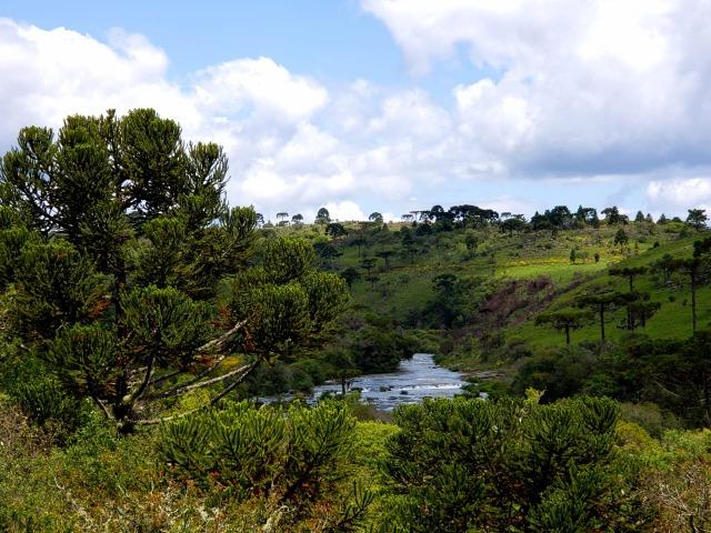 Exuberante Imóvel em Urupema com Rio - Foto 13