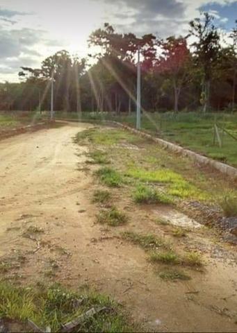 Vende-se lonte em bebedouro - Foto 5