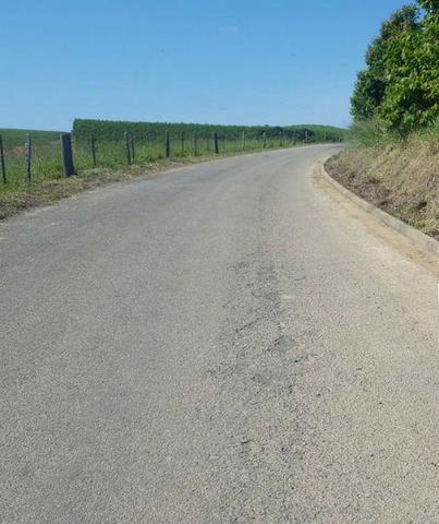 Alugo pasto para gado desengano - Foto 2