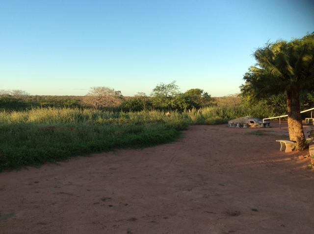 Fazenda em São João do Jaguaribe - Foto 4