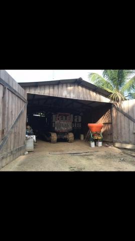 Chácara à venda em Nova mamoré, Rondônia cod:118 - Foto 4