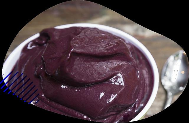 Livro Lucrando com Açaí - Foto 2