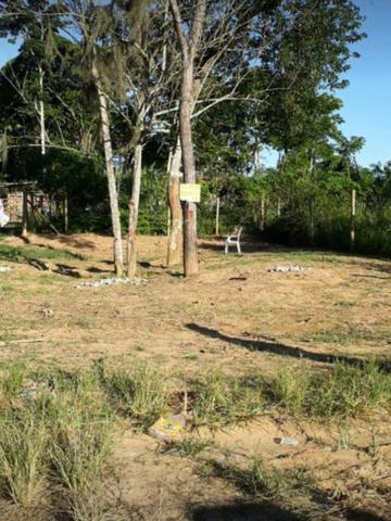 Vende-se lonte em bebedouro - Foto 3