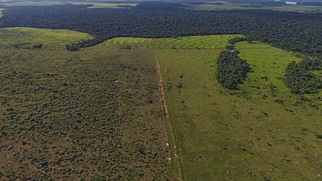 6.100 Há c/ Lavoura em Nova Canna do Norte-MT - Foto 16