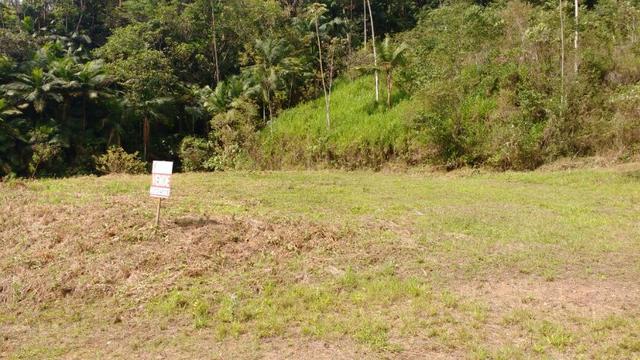 Terreno No Centro De Massaranduba - Foto 3