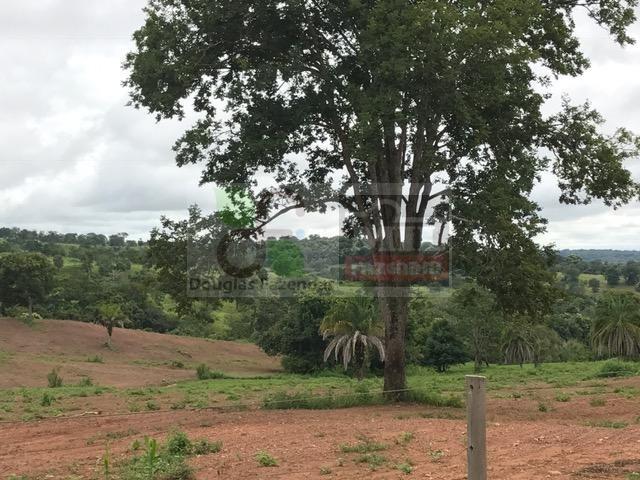 220 Alq. (Plana + Asfalto + Rio). 70 km de Goiânia - Foto 16