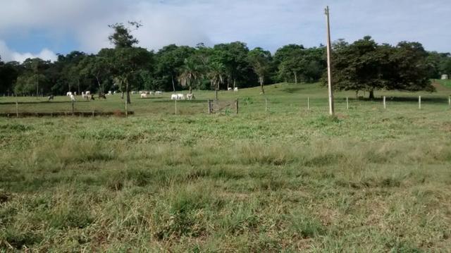 100 Alq. Cultura | Margem Lago | 78 km de Goiânia. R$ 15 Milhões - Foto 8