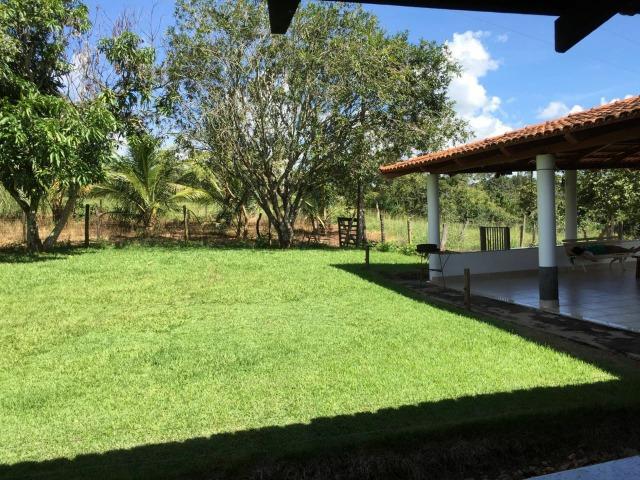 Fazenda 70 Alqueires em Cristianópolis-GO (Lavoura e Gado) - Foto 16