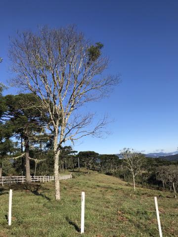Sítio em Urubici - Foto 3