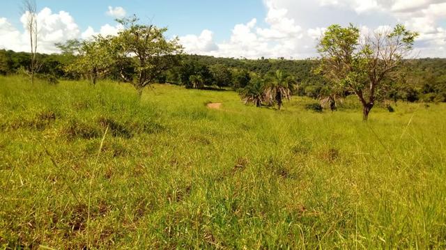 100 Alq. Cultura | Margem Lago | 78 km de Goiânia. R$ 15 Milhões - Foto 5