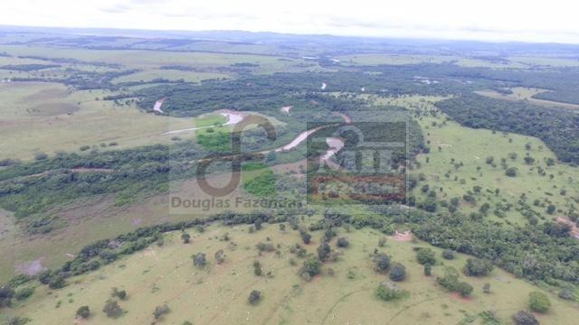 220 Alq. (Plana + Asfalto + Rio). 70 km de Goiânia - Foto 7