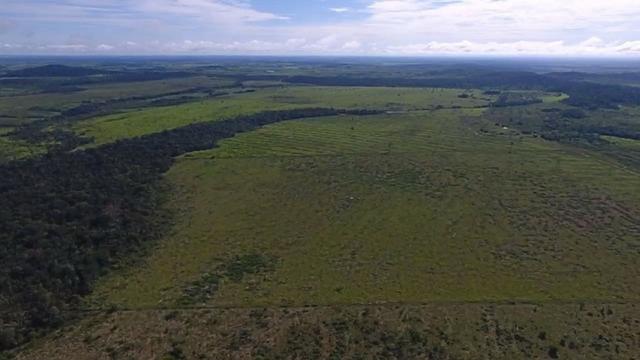 6.100 Há c/ Lavoura em Nova Canna do Norte-MT - Foto 8