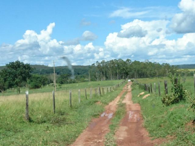 Fazenda 70 Alqueires em Cristianópolis-GO (Lavoura e Gado) - Foto 7