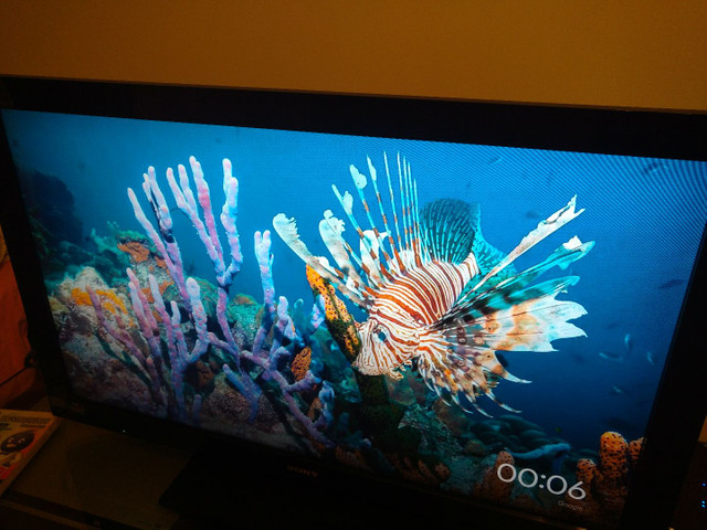 TV Sony Bravia 40" + Chromecast