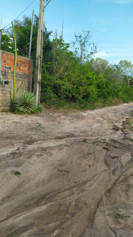 Lotes Panaquatira