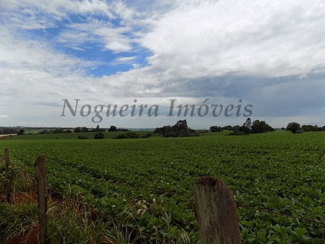 Sítio na região, área com 24 alqueires, terra vermelha (Nogueira Imóveis Rurais) - Foto 2