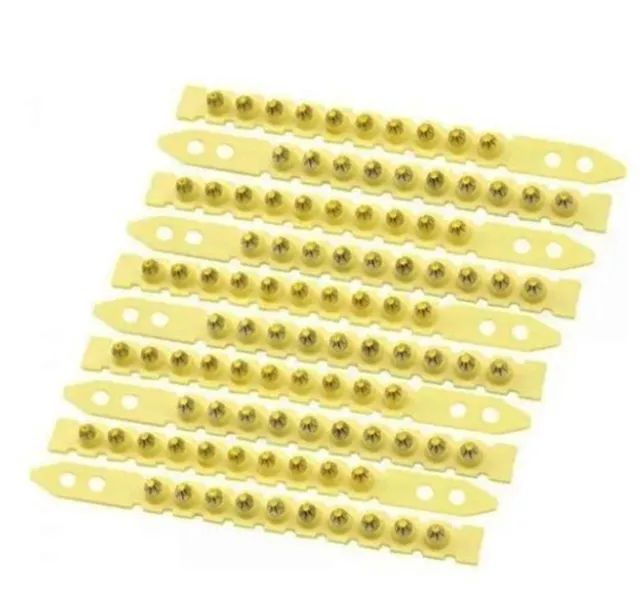 Viveiro Tela,Cercados em Geral,Galinheiro,Reforço Parede Reboco  - Foto 3