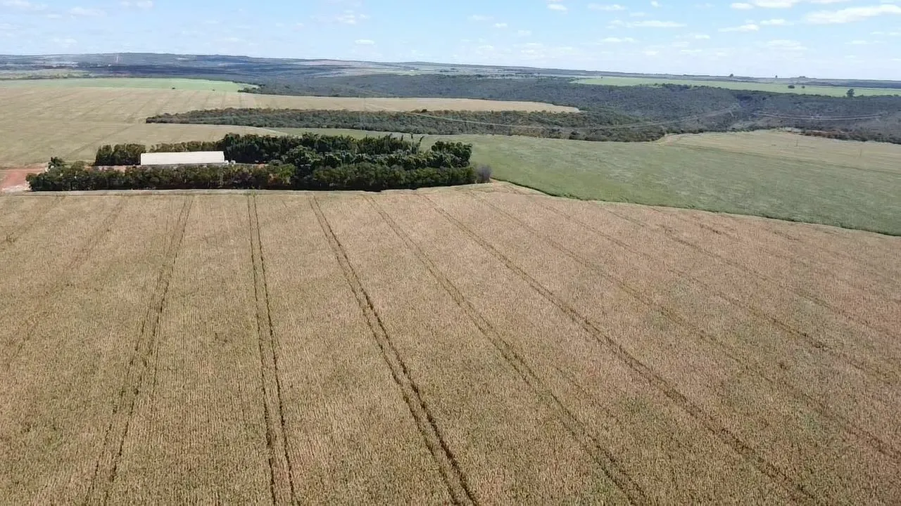 Fazenda 1.007 Hect. Cristalina Go. Perto posto JK 110 milhões.
