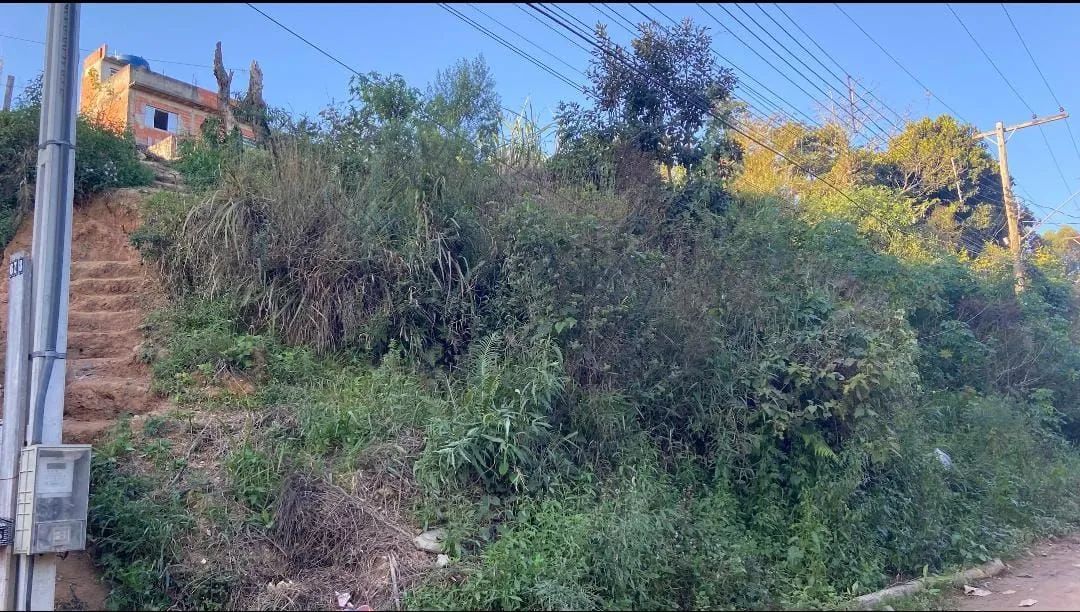 foto - Franco da Rocha - Jardim dos Bandeirantes